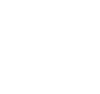 icon2-1 icon2-1